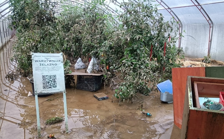 Zbiórka Pomoc w odbudowie po powodzi. - zdjęcie główne