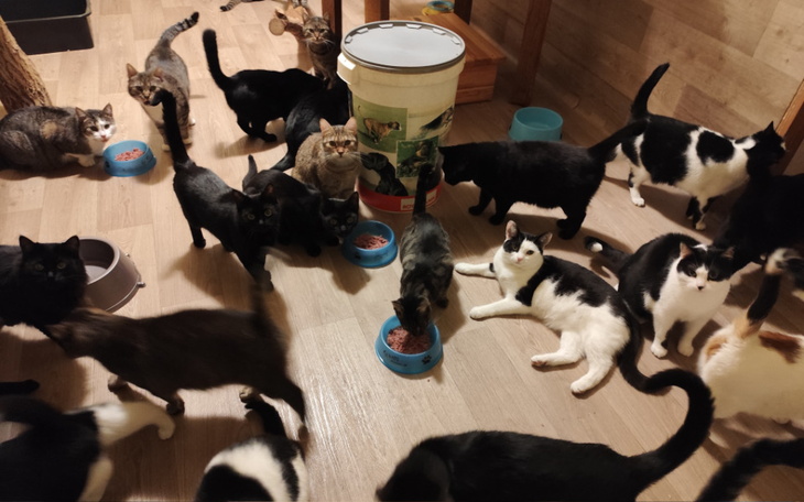 Zbiórka Pilnie trzeba zakupić opał - zdjęcie główne