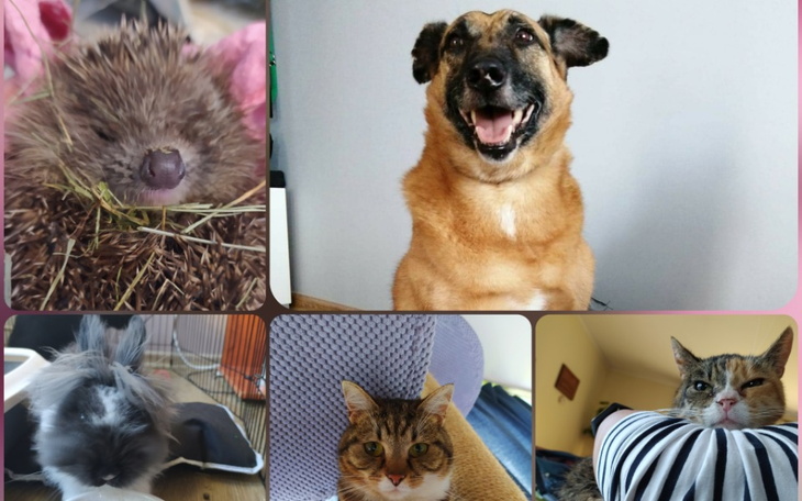 Zbiórka Spłata długuu - zdjęcie główne