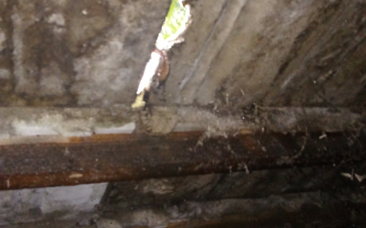 Zbiórka Na opał i życie - zdjęcie główne