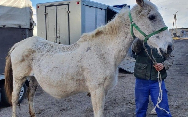 Zbiórka RATUJMY IMKĘ - mamy tylko 3 dni - zdjęcie główne
