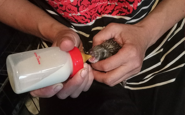 Zbiórka Dla najmłodszych - zdjęcie główne