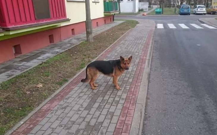 Zbiórka 3 miesiące na ulicy - zdjęcie główne