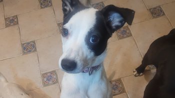 Zbiórka Opłata za hotelik - miniaturka zdjęcia