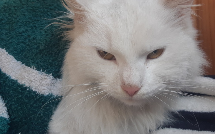 Zbiórka Aby nigdy nie musiała rodzić - zdjęcie główne