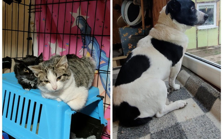 Zbiórka Ogrzewanie trzech domków. - zdjęcie główne