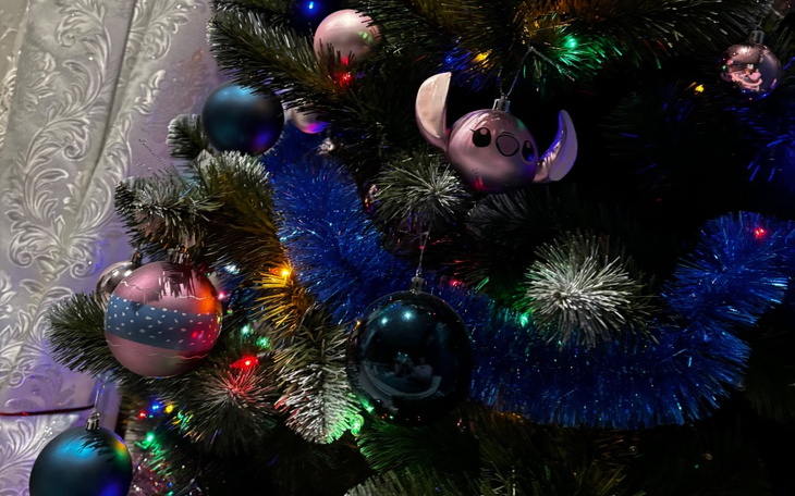 Zbiórka O wiele lepsze jutro - zdjęcie główne