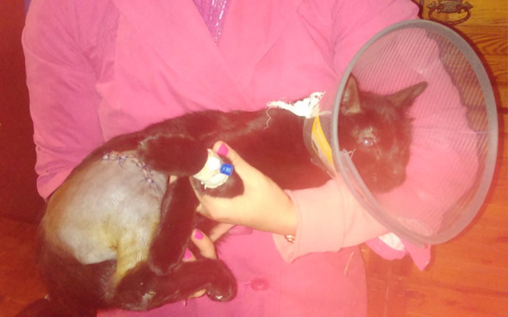 Zbiórka Michaś po wypadku - zdjęcie główne