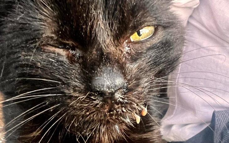 Zbiórka Dla chorego Murzynka na diagnozę - zdjęcie główne