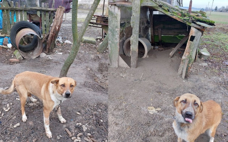 Zbiórka Nie zasłużyły by godnie żyć - zdjęcie główne