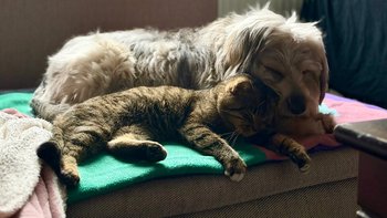 Zbiórka Dzięki Tobie możemy pomagać - miniaturka zdjęcia