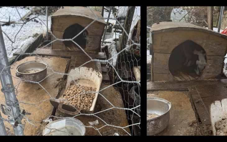 Domek dla psów z jedzeniem i wodą w zimowej scenerii.