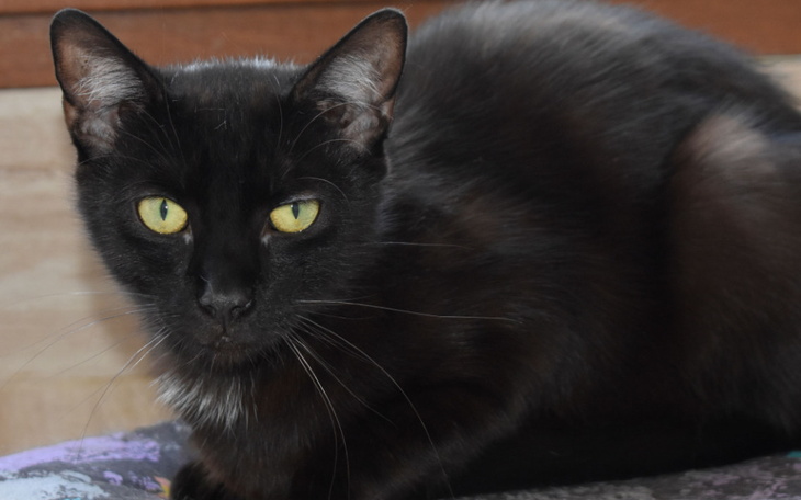 Zbiórka Fipowe trio część 2 - zdjęcie główne