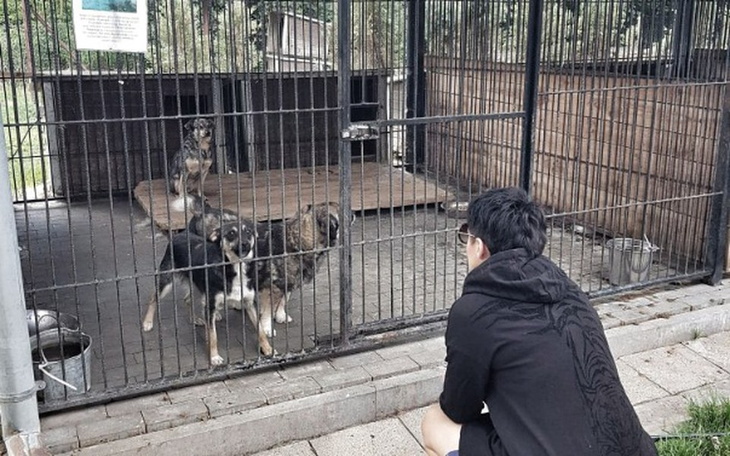 Zbiórka #poMoc - zdjęcie główne