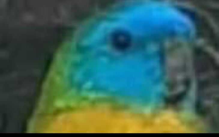 Zbiórka muremzapasztetem - zdjęcie główne