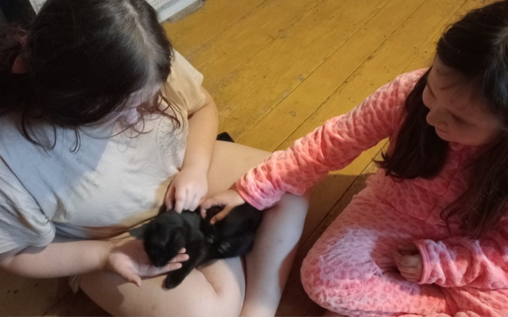 Zbiórka Małe dziecięce marzenie - zdjęcie główne