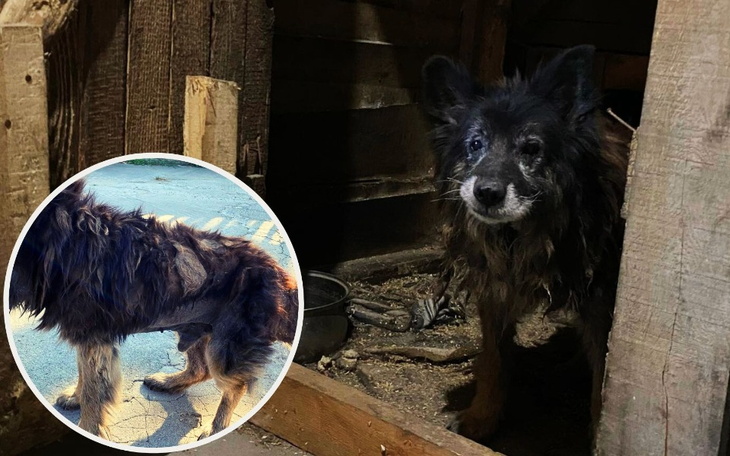 Zbiórka 20 lat w ciemności - zdjęcie główne