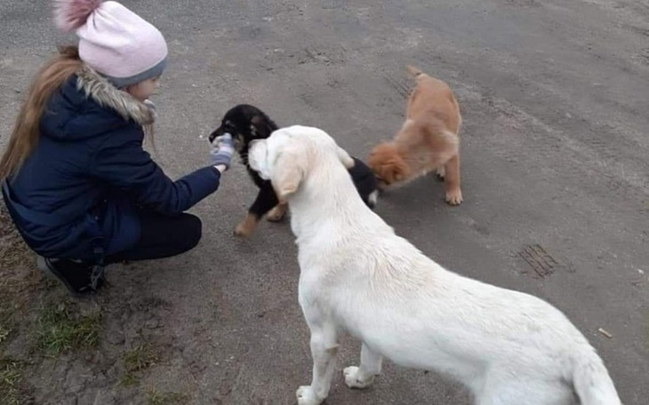 Zbiórka Wyrok Radysy Prosimy nie - zdjęcie główne
