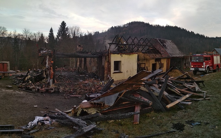 Zbiórka Marian Piecha - zdjęcie główne