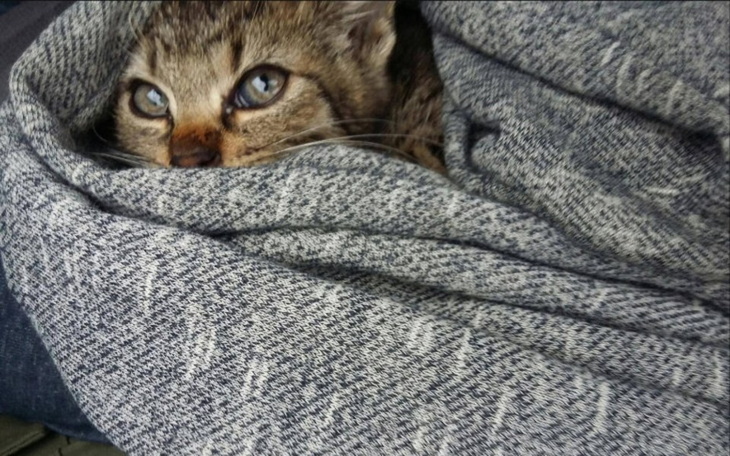 Zbiórka Na pomoc Tuli - zdjęcie główne