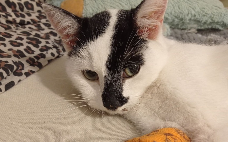 Zbiórka Marshall prosi o pomoc - zdjęcie główne