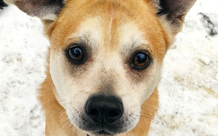 Zbiórka Na ciepło dla Przytuliska - zdjęcie główne