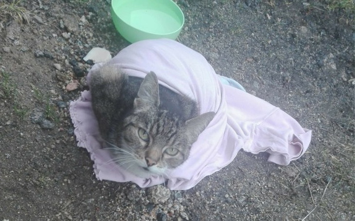 Zbiórka Połamany Kacper - zdjęcie główne