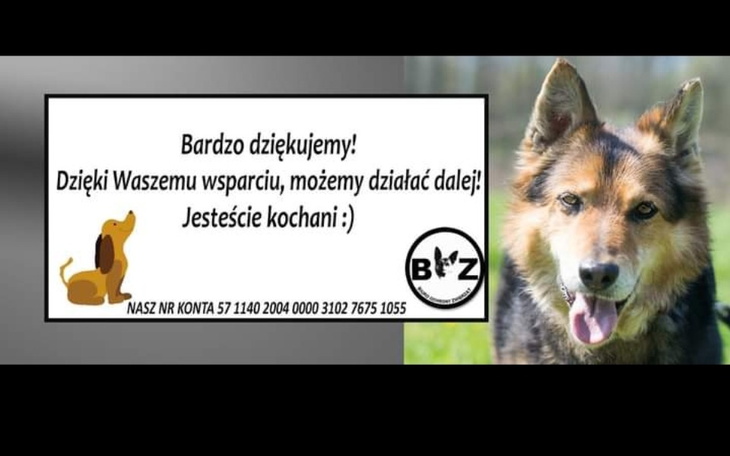 Zbiórka Ratujmy tych, którzy ratują - zdjęcie główne