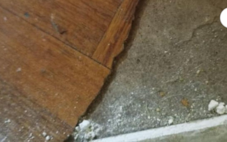 Zbiórka Dla samotnej mamy na remont - zdjęcie główne