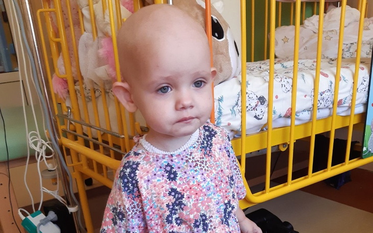 Zbiórka Mała Alicja walczy o zdrowie - zdjęcie główne