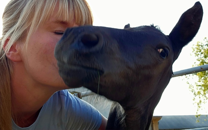 Zbiórka Pomóż naszmu zrebakowi - zdjęcie główne