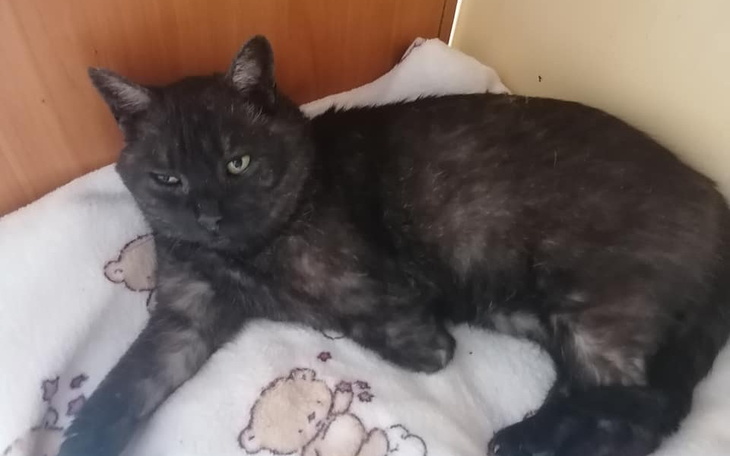 Zbiórka Na leczenie Maćka - zdjęcie główne