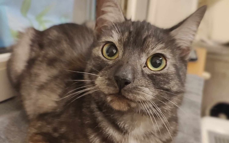 Zbiórka Żeby Punio nie miał długów - zdjęcie główne