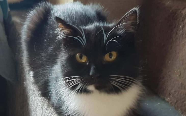 Osoba w mundurze, trzymająca broń w lesie.