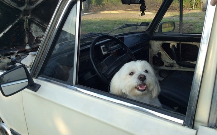 Zbiórka Na remont mojego Fiacika 125p - zdjęcie główne