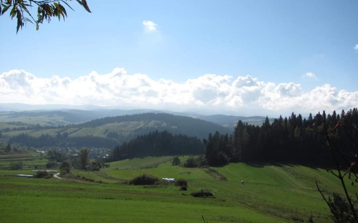 Zbiórka Na lepsze życie m - zdjęcie główne