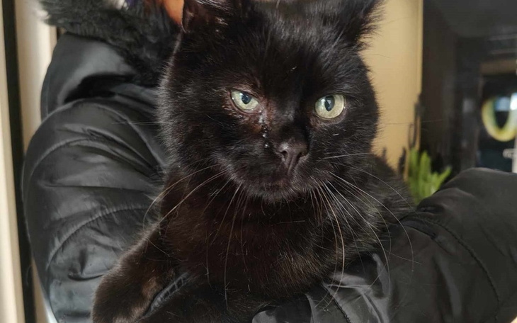 Zbiórka Pedro z Piłsudskiego - zdjęcie główne