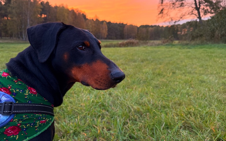 Zbiórka ARes dla Cezarego - zdjęcie główne