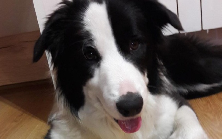 Zbiórka Pomoc dla TESI - zdjęcie główne