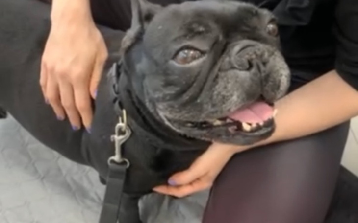 Zbiórka Kosztowne leczenie wycięcie guza - zdjęcie główne