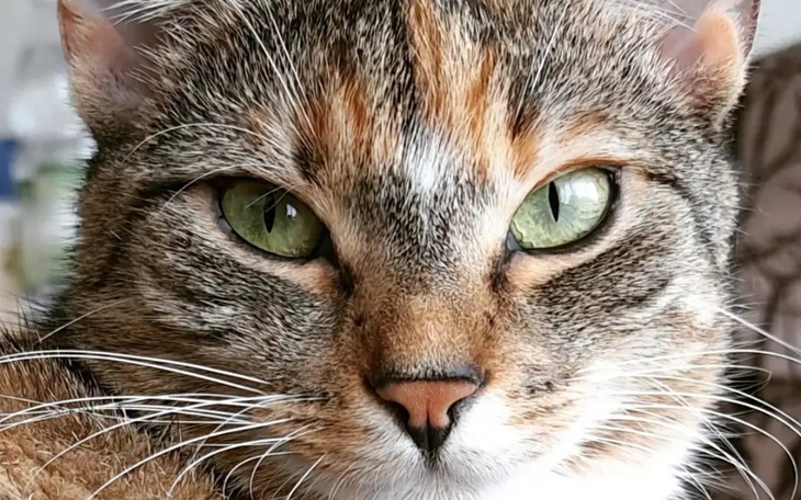 Zbiórka Ratujmy życie Mariasi - zdjęcie główne