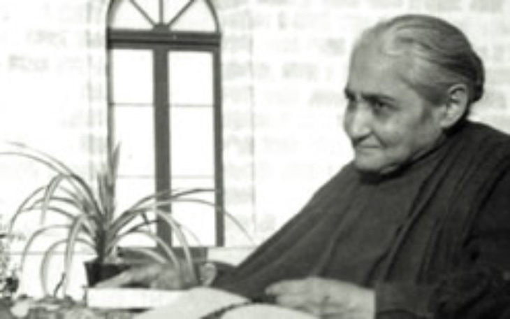 Zbiórka Luisa Picareta - zdjęcie główne