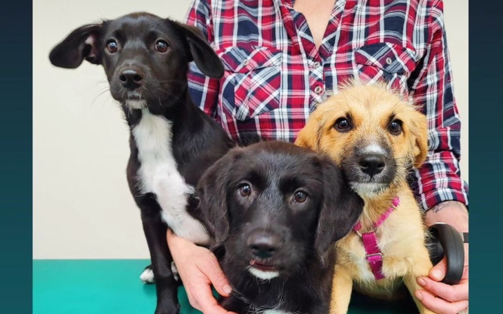 Zbiórka Na rachunki i utrzymanie - zdjęcie główne