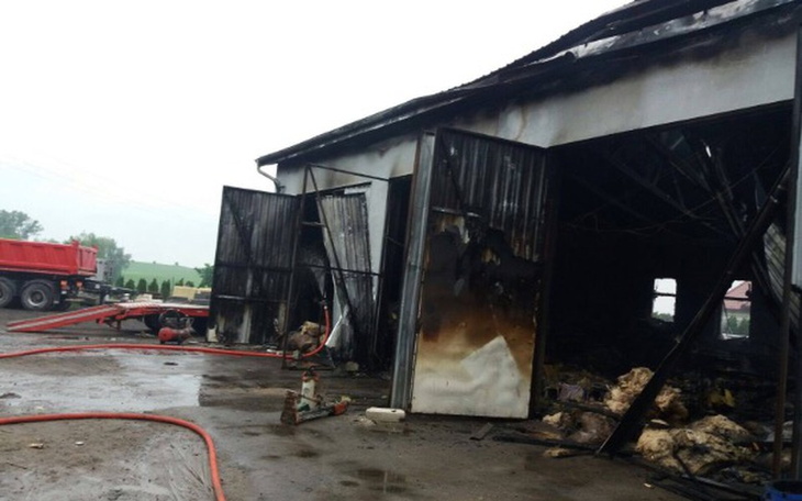 Zbiórka Odbudowa spalonych marzeń ... - zdjęcie główne