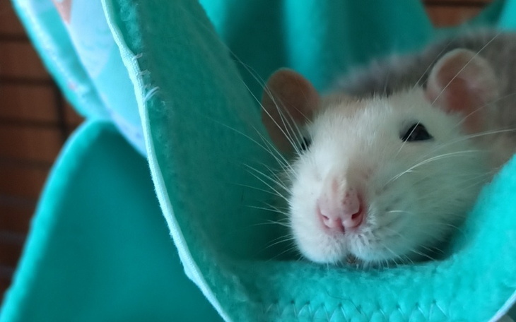 Zbiórka Ja naprawdę chcę żyć - zdjęcie główne