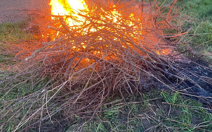 Zbiórka Błędy nastoletniego życia - zdjęcie główne