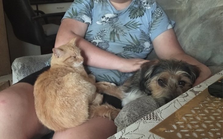 Zbiórka Pokój dla syna - zdjęcie główne