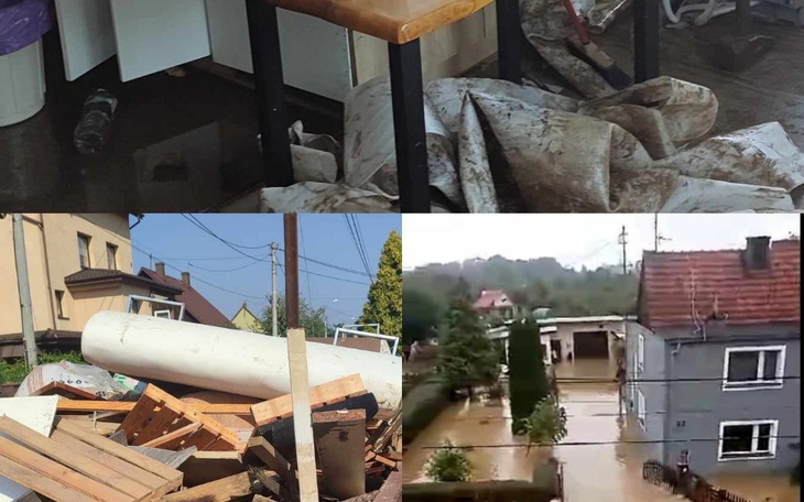 Zbiórka Zbiórka dla Roxy i jej rodziny - zdjęcie główne