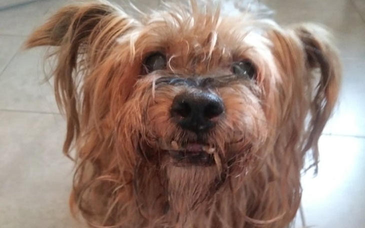 Zbiórka York z torowiska - zdjęcie główne