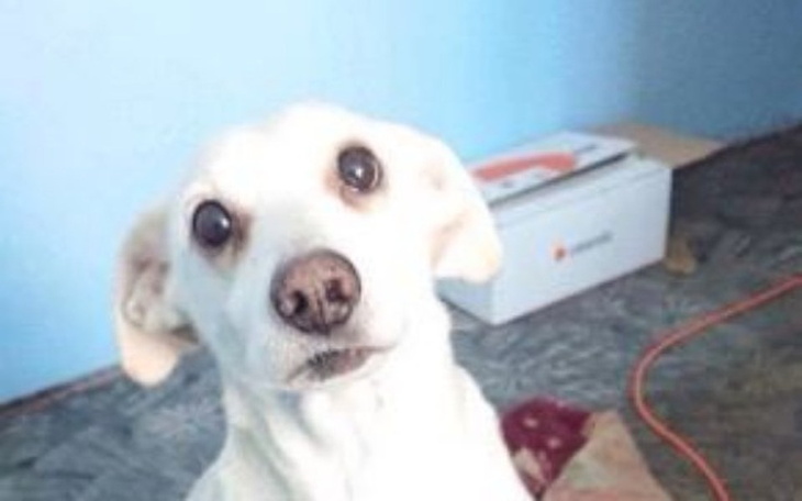 Zbiórka On nie umrze, prawda? - zdjęcie główne